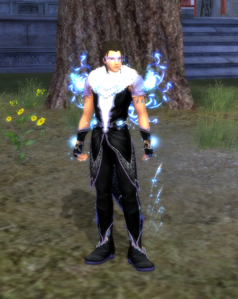 Image of Twilight Chest drops