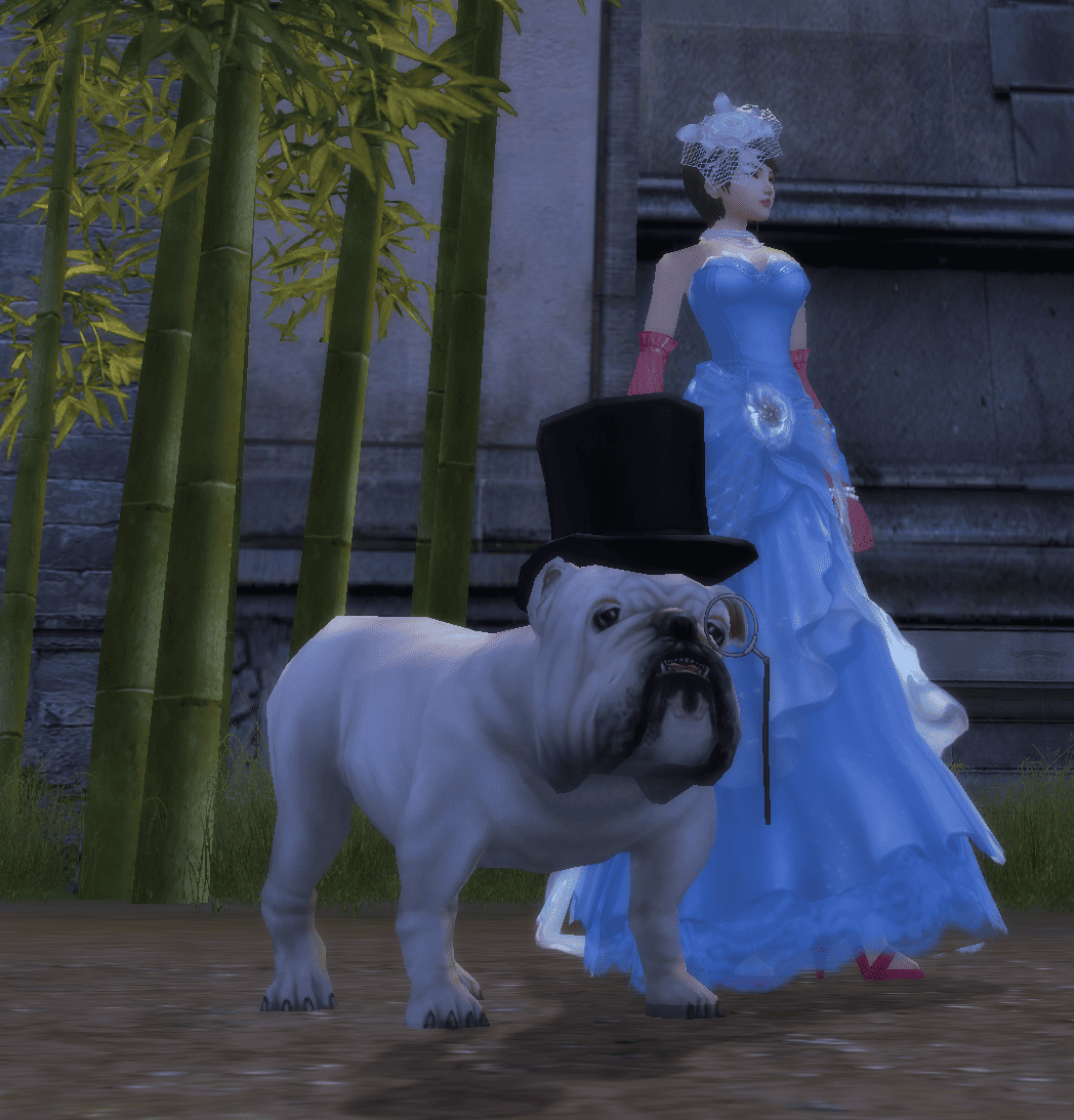 Imperial Chest drops image
